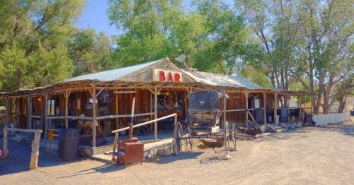 A rustic bar with a wooden exterior, surrounded by trees and outdoor seating, set in a sunny, rural landscape.