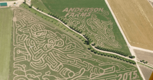 Aerial view of a corn maze featuring intricate designs, including a football player and the text "Anderson Farms 2015."
