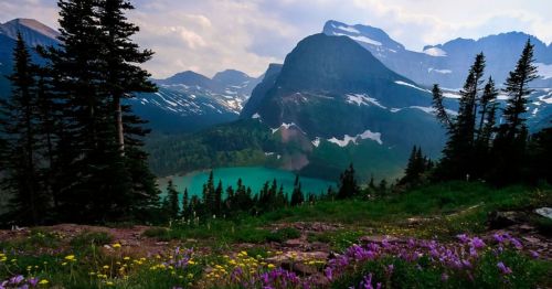 A scenic view of a turquoise lake surrounded by mountains and lush greenery, with colorful wildflowers in the foreground.