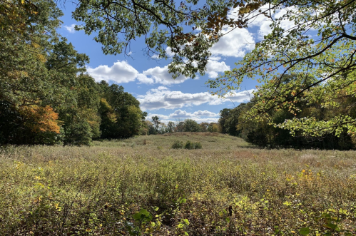 A scenic view of a grassy field surrounded by trees under a partly cloudy sky.