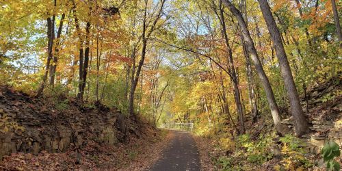 A serene path through a vibrant autumn forest, lined with colorful leaves and stone walls.
