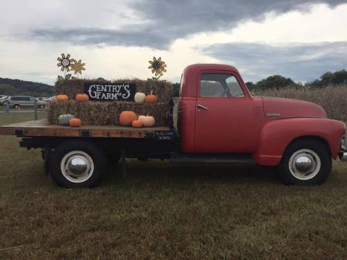 A vintage red truck with a wooden bed, decorated with pumpkins and hay, parked in a field with a sign for "Gentry's Farms."