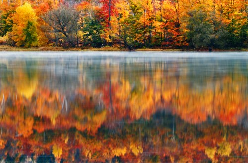 Vibrant autumn trees with red, orange, and yellow leaves reflected in a calm lake, surrounded by mist.