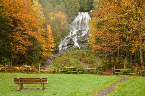 A serene scene of a waterfall surrounded by autumn foliage, with a bench overlooking the view.