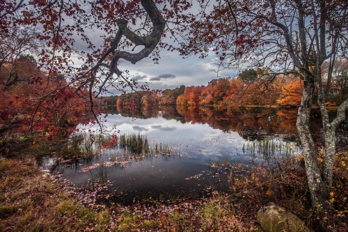A serene lake surrounded by vibrant autumn foliage and overcast skies, reflecting the colorful trees.