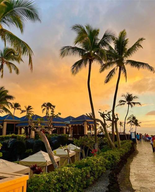 Tropical scene with palm trees and a sunset sky, leading to a beachside resort.