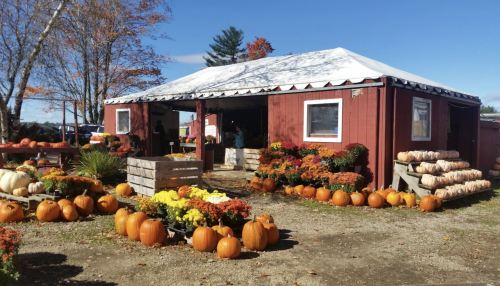 A rustic red barn with a white roof, surrounded by pumpkins and colorful flowers on a sunny autumn day.