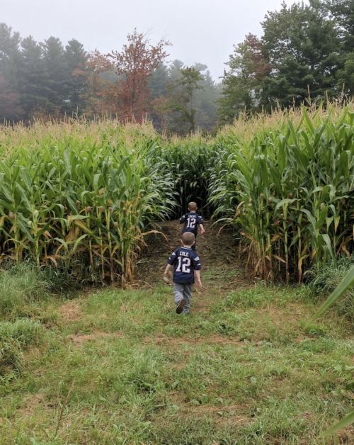 Two children in matching jerseys walk through a cornfield on a foggy day, surrounded by tall corn plants.