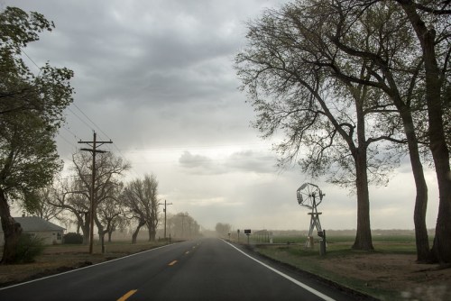 A deserted road stretches into the distance, flanked by trees and a windmill under a cloudy sky.
