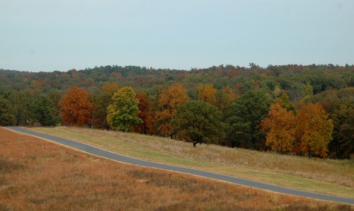 A winding road through a landscape of autumn trees in vibrant shades of orange, yellow, and green.