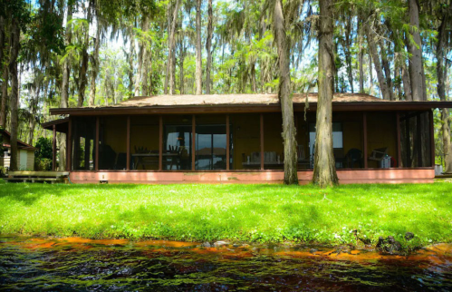 A serene lakeside house surrounded by lush greenery and tall trees, reflecting a peaceful natural setting.