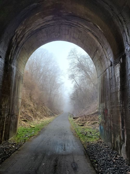 A foggy path leads through a large stone tunnel, surrounded by trees and overgrown vegetation.