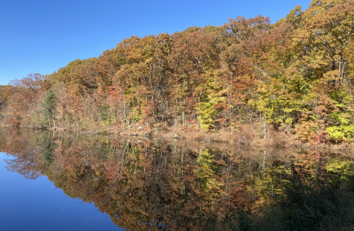 A serene lake surrounded by trees in autumn, showcasing vibrant orange and green foliage reflecting on the water.