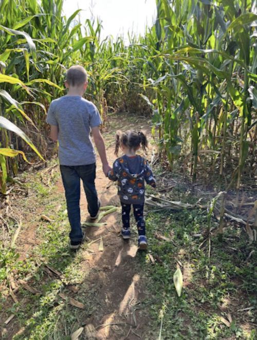 A child and a toddler walk hand in hand through a cornfield path, surrounded by tall green corn plants.