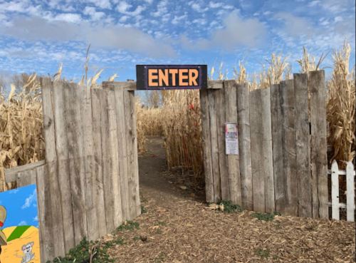 A wooden gate with an "ENTER" sign opens into a cornfield under a blue sky with scattered clouds.