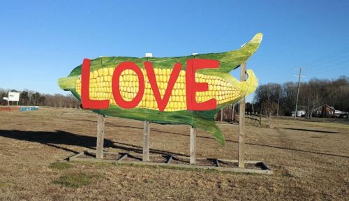 A large, colorful sign shaped like a fish with the word "LOVE" in bold red letters and a corn design on its body.