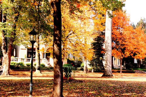 A serene park scene with vibrant autumn trees, a lamp post, and fallen leaves on the ground.