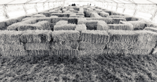 A large maze made of hay bales inside a tent, viewed from above, with pathways carved through the bales.