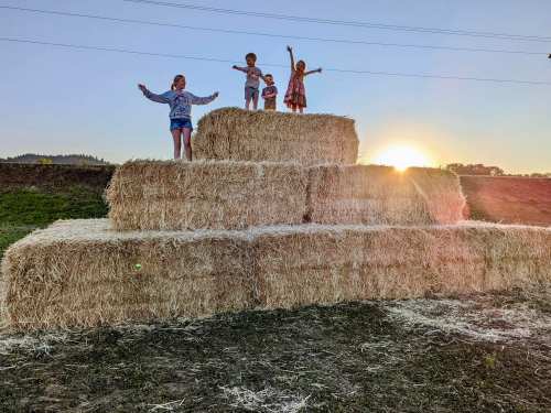 Four children play on stacked hay bales at sunset, with arms raised in joy against a colorful sky.