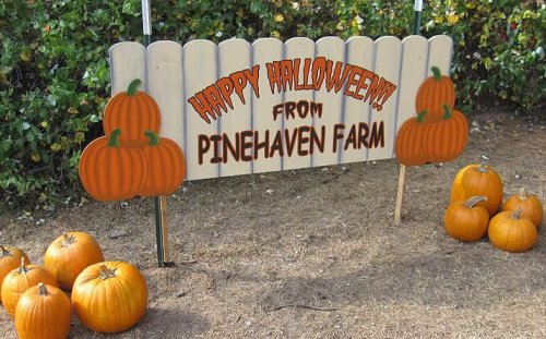 A wooden sign reads "Happy Halloween! from Pinehaven Farm," surrounded by pumpkins on the ground.