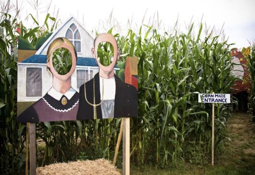 A cutout board of two figures with missing faces, set in a cornfield near a sign for a corn maze entrance.