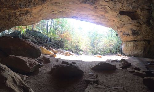A cave opening reveals a sunlit forest with rocks scattered on the ground and trees in the background.