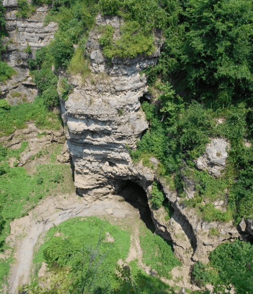 A rocky cliff with layered stone formations surrounded by lush greenery and a cave entrance at the base.