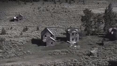 Aerial view of abandoned wooden houses surrounded by overgrown fields and sparse trees in black and white.