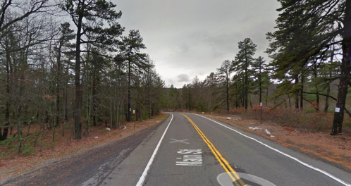 A winding road through a forested area with tall trees and a cloudy sky.
