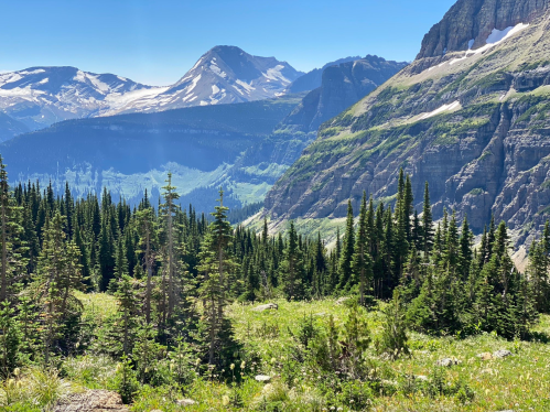 A scenic mountain landscape with lush green trees, rolling hills, and snow-capped peaks under a clear blue sky.