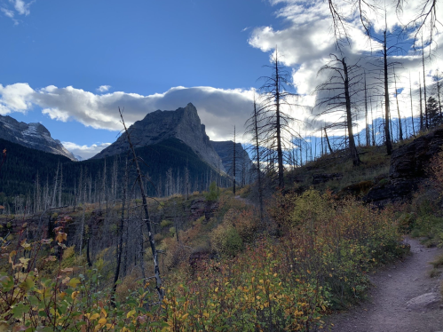 A scenic mountain landscape with a winding path, surrounded by autumn foliage and tall, bare trees under a blue sky.