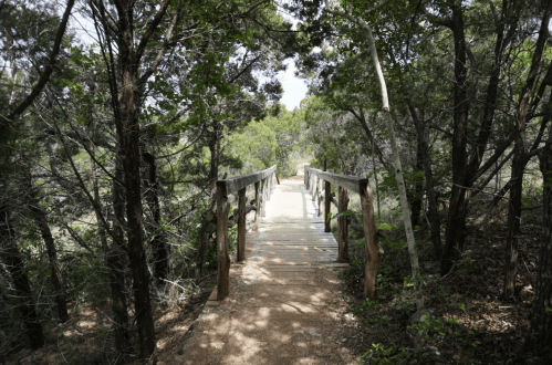 A wooden bridge leads through a lush, green forest path surrounded by trees and foliage.