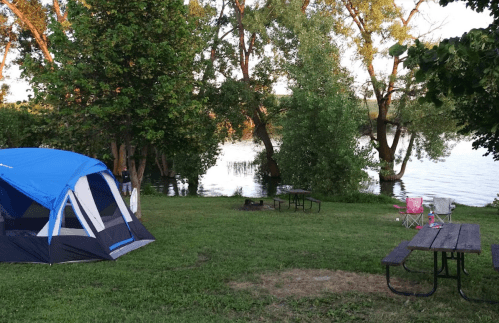 A blue tent set up on green grass near a calm river, surrounded by trees and picnic tables.