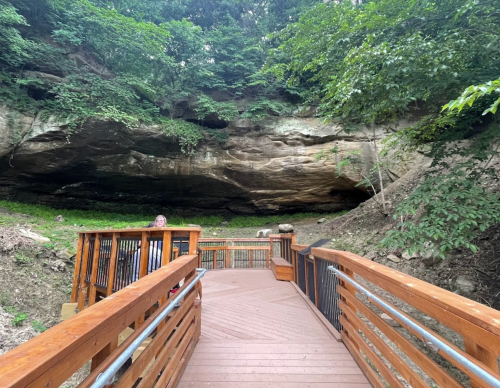 A wooden walkway leads to a rocky cave entrance, surrounded by lush greenery and trees.
