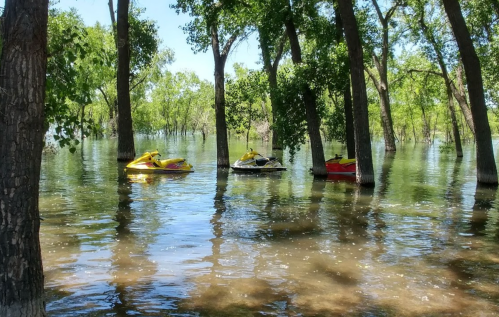 Three jet skis partially submerged in a flooded area surrounded by trees and calm water.