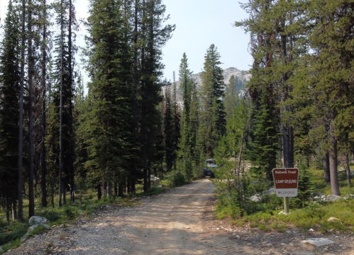 A dirt road leads into a forested area with tall pine trees and a sign for a campground.