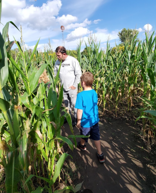 A man and two children walk through a corn maze on a sunny day, surrounded by tall corn plants and blue skies.