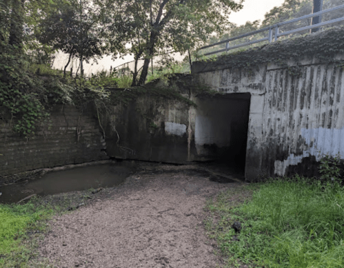 A dark tunnel entrance surrounded by overgrown vegetation and a muddy path, leading into a shadowy area.
