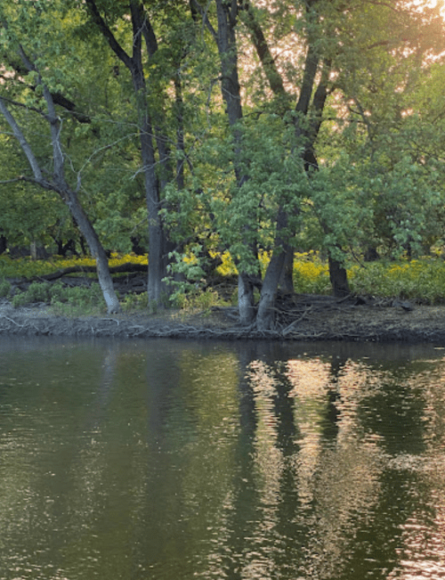 A serene river scene with trees reflecting on the water's surface, illuminated by soft sunlight.