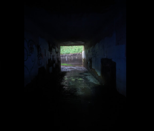 A dark tunnel with graffiti on the walls, leading to a bright exit illuminated by natural light.