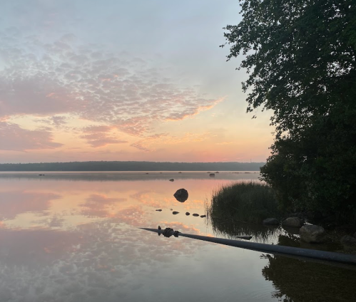 A serene lake at sunrise, with soft clouds reflecting on the water and a silhouette of trees along the shore.