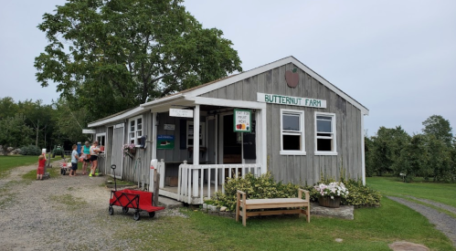 A rustic farm building labeled "Butternut Farm," with visitors outside and greenery surrounding the area.