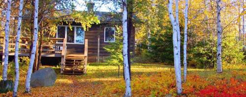 A cozy wooden cabin surrounded by vibrant autumn foliage and birch trees.