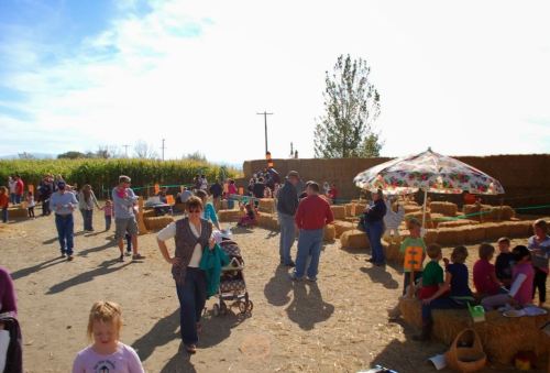 A busy outdoor scene at a farm with families, hay bales, and a colorful umbrella, enjoying a sunny day.