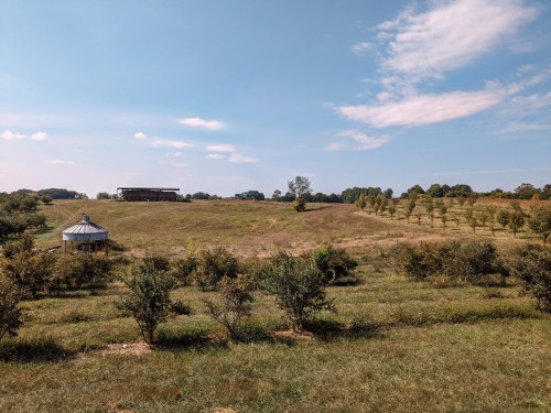 A scenic landscape featuring rolling hills, a barn, and rows of trees under a clear blue sky.
