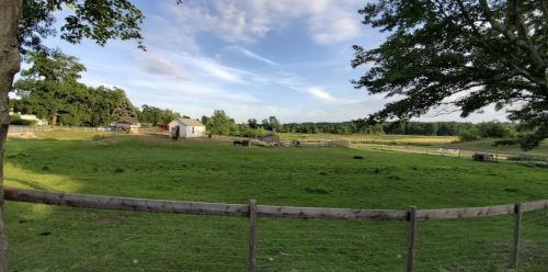 A peaceful farm scene with a grassy field, a small house, and trees under a blue sky with scattered clouds.