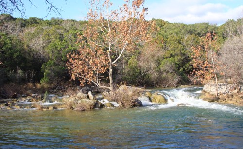 A serene river flows through a wooded area, with a tree displaying autumn leaves on the bank.