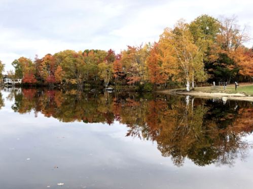 A serene lake reflecting vibrant autumn trees in shades of orange, yellow, and red under a cloudy sky.