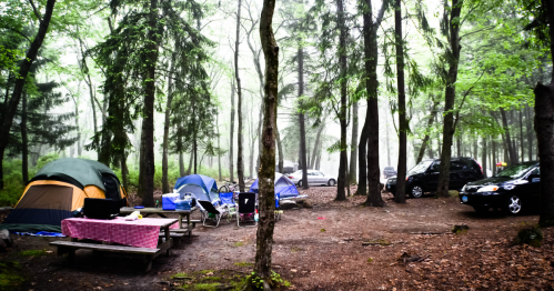 A misty forest campsite with tents, a picnic table, and parked cars among tall trees.