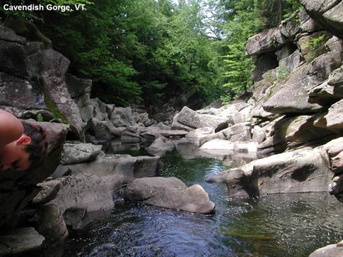 A serene river flows through rocky cliffs in Cavendish Gorge, Vermont, surrounded by lush green trees.